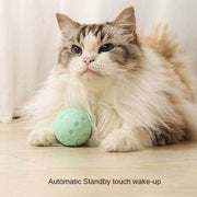 Crazy Ball Interactive Cat Toy