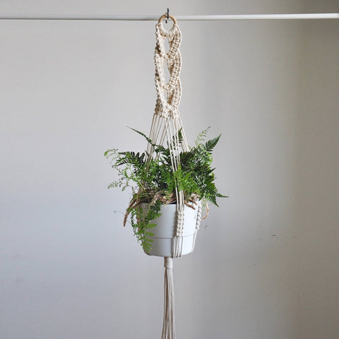 Plant hanger pot hanging for home garden macrame plant hanger for bacony pot hanging indoor Handmade - Statnmore-7861